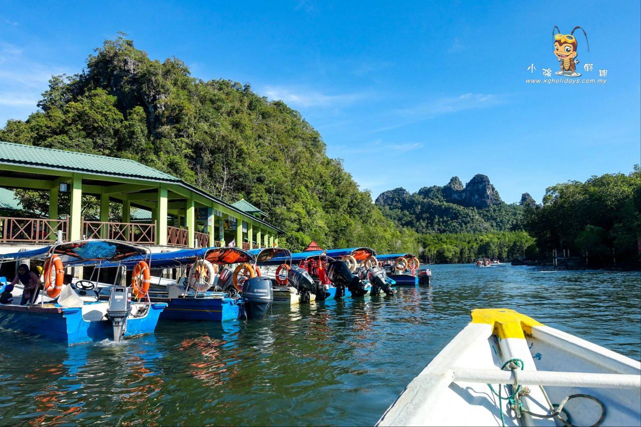 Jelajahi Keindahan Mangrove Langkawi: Tur Ekologi dan Petualangan